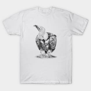 Vulture T-Shirt